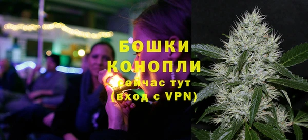 PSILOCYBIN Богородицк