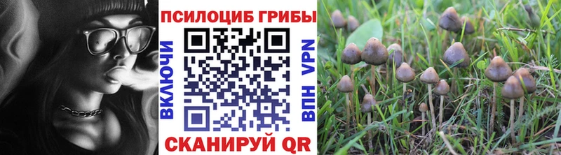 Псилоцибиновые грибы мицелий  Купить где  Суворов 